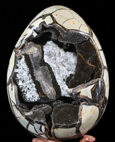 Huge, Septarian Dragon Egg Geode - Crystal Filled #40933